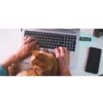 ⁦فلاش AGI UE138 سعة 64 جيجابايت – USB 3.2 – سرعة تصل إلى 100/40 ميجابايت/ث⁩ - الصورة ⁦2⁩