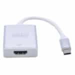 CABLE-2B Type C to HDMI Female Cable CV223